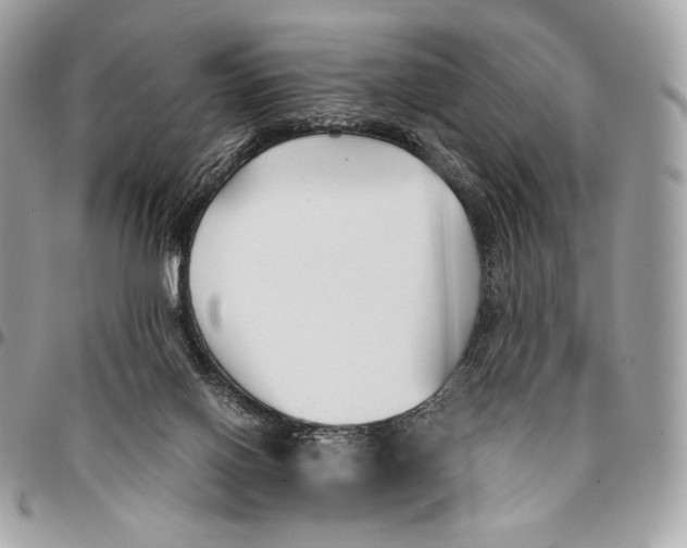 X0000096140070200802081357
