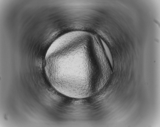 X0000096140072200802081357