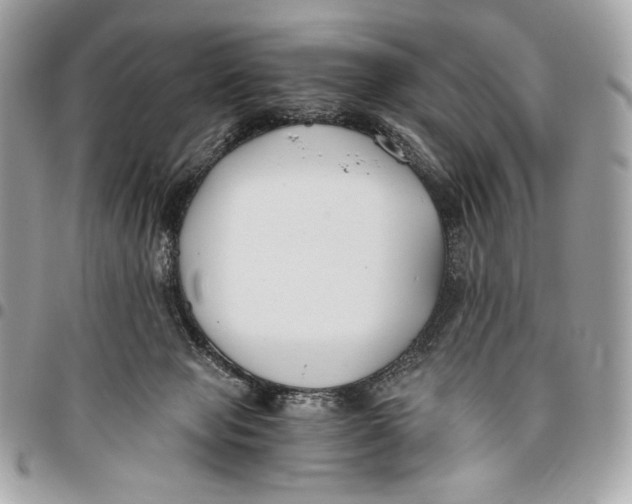 X0000096140077200802081358