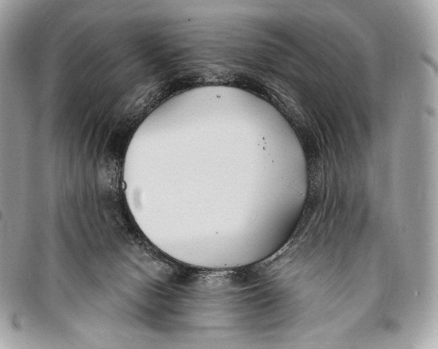 X0000096140078200802081358
