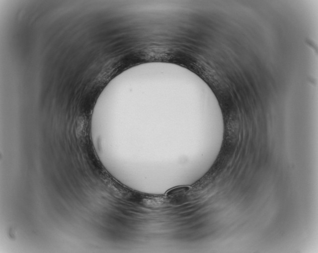 X0000096140079200802081358