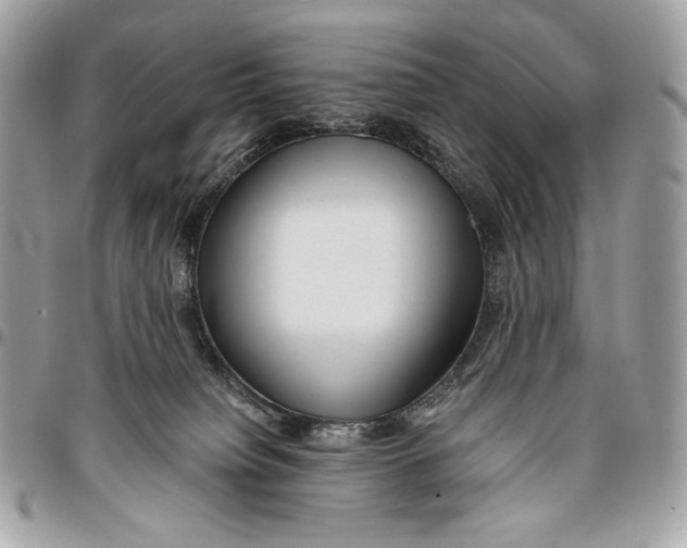 X0000096140084200802081358
