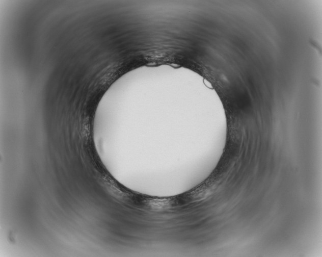 X0000096140085200802081358