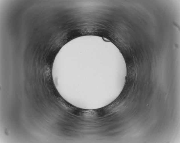 X0000096140087200802081358