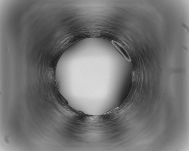 X0000096140092200802081358