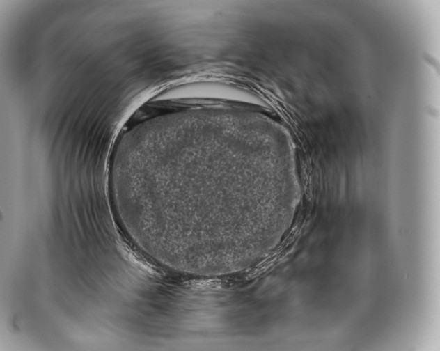 X0000096140100200802081357