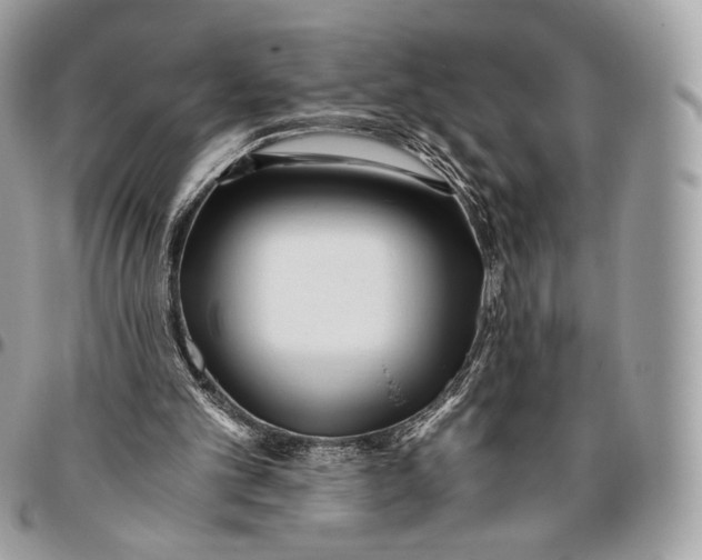 X0000096140101200802081357