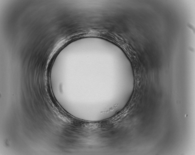 X0000096140102200802081357