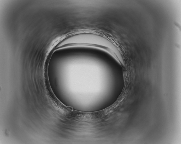 X0000096140104200802081357