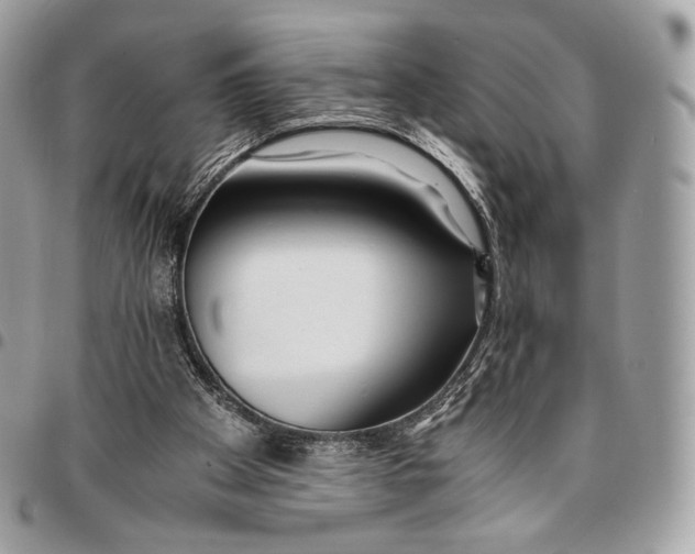 X0000096140105200802081357