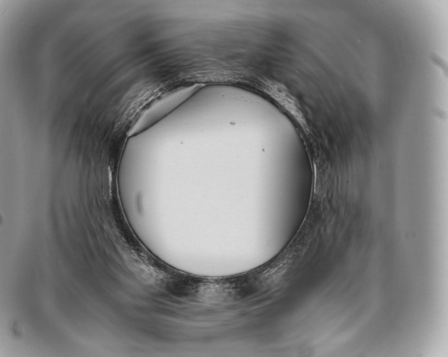 X0000096140109200802081357