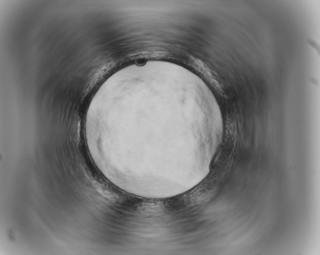 X0000096140110200802081357