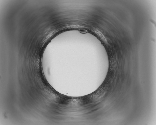 X0000096140111200802081357