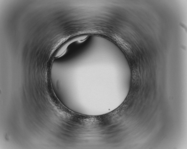 X0000096140112200802081357