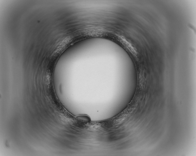 X0000096140113200802081357