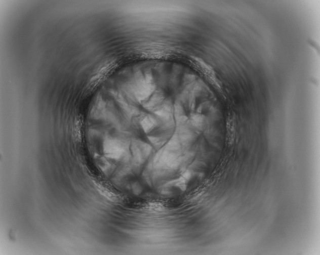 X0000096140114200802081357