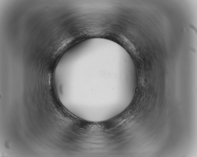 X0000096140115200802081357