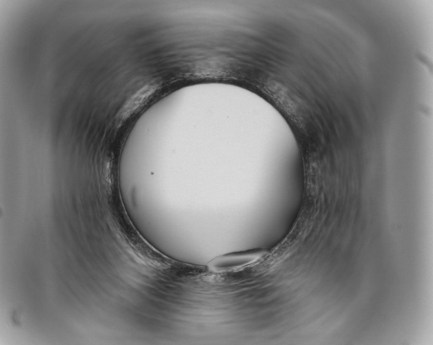 X0000096140116200802081357