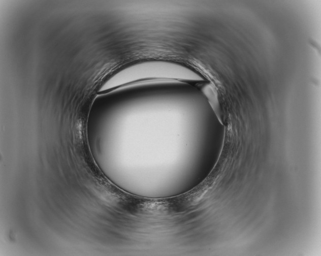 X0000096140117200802081357