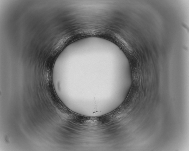 X0000096140119200802081357