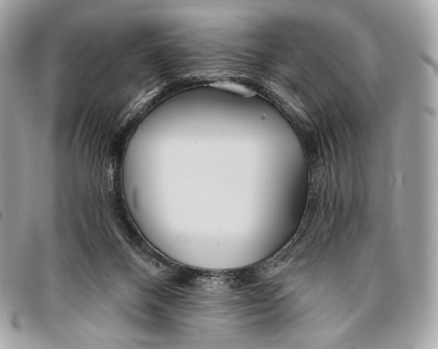 X0000096140120200802081357