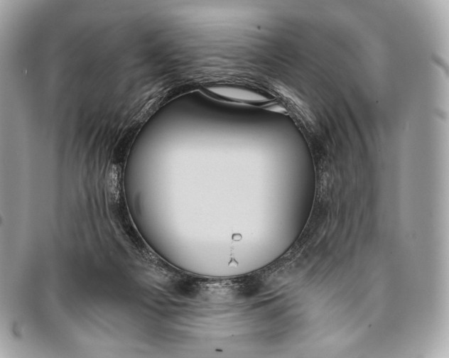 X0000096140121200802081357