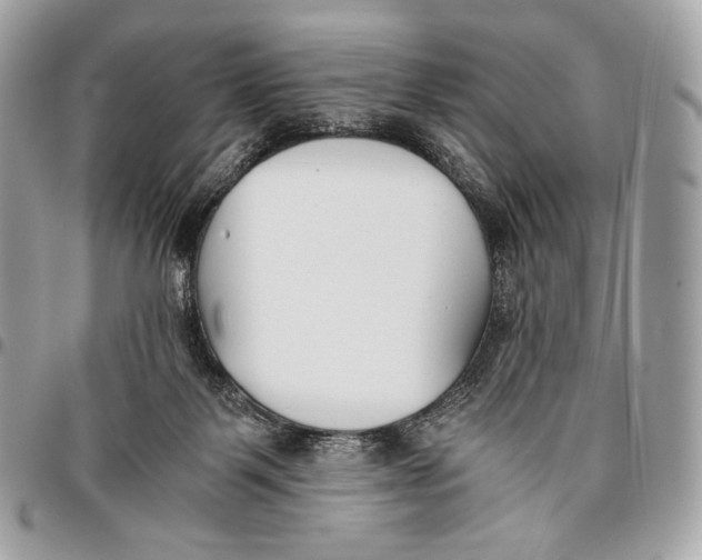 X0000096140123200802081357