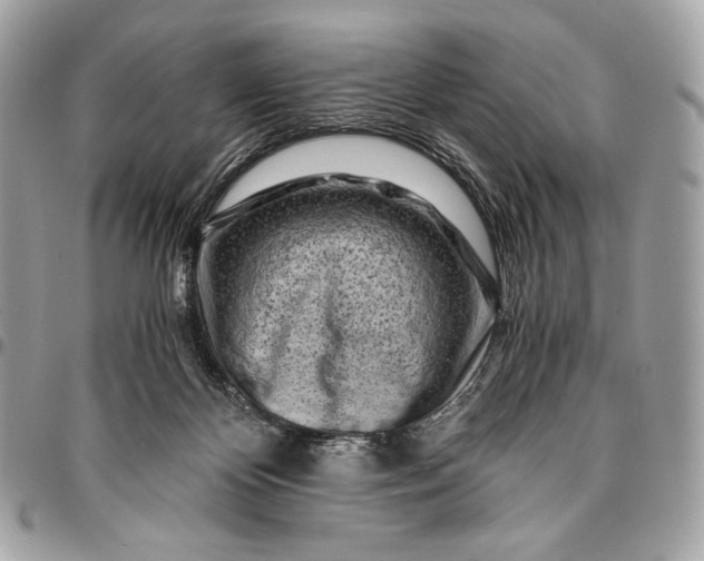 X0000096140124200802081357