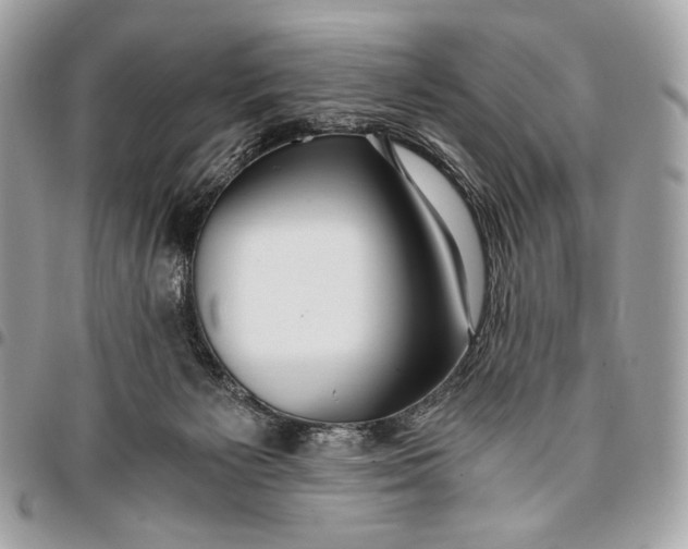 X0000096140125200802081357