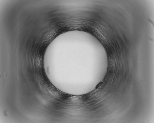 X0000096140126200802081357