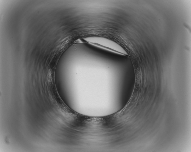 X0000096140128200802081357