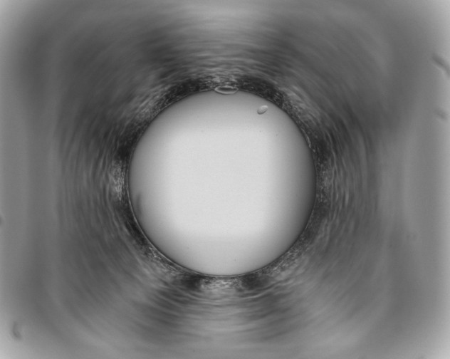 X0000096140129200802081357