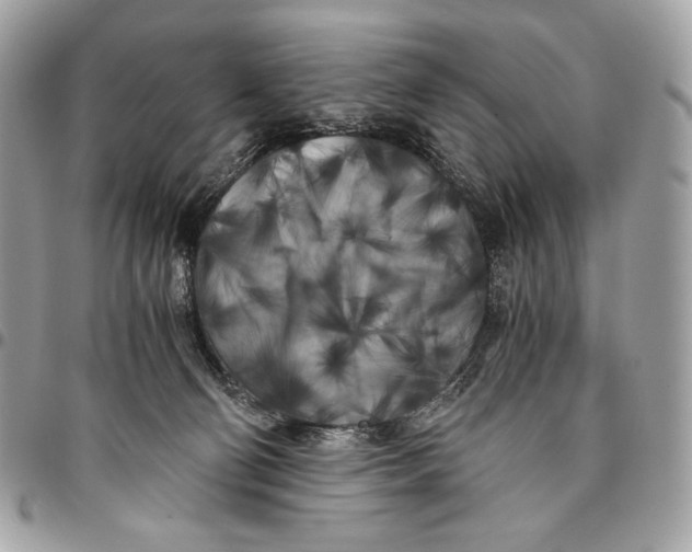 X0000096140130200802081357