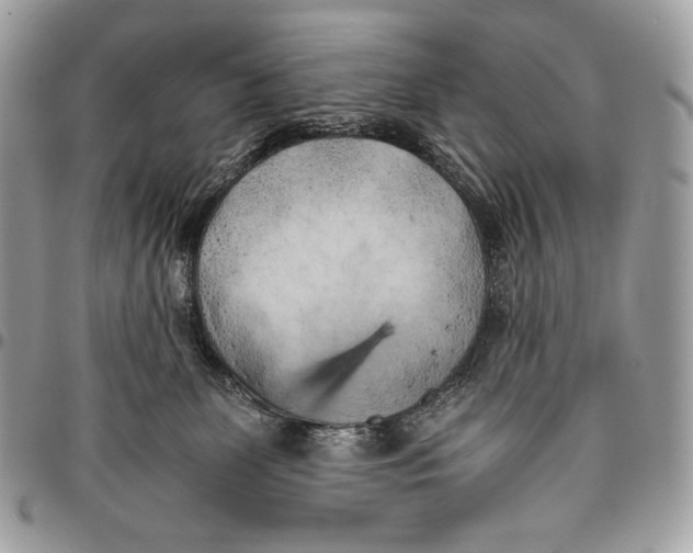 X0000096140131200802081357