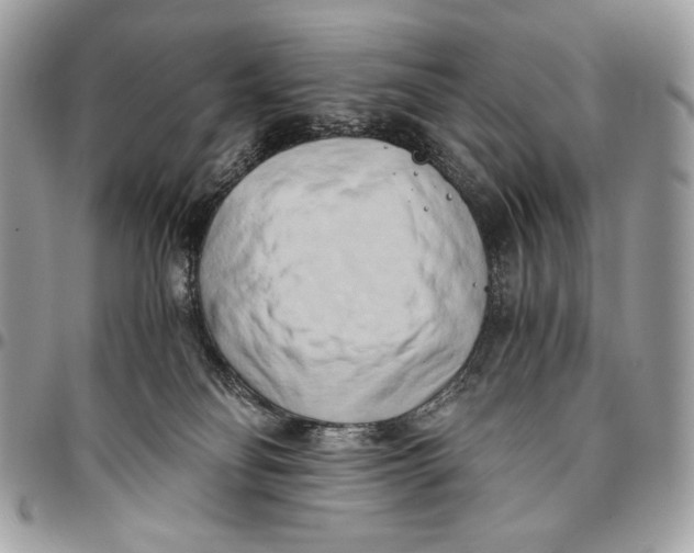 X0000096140134200802081357