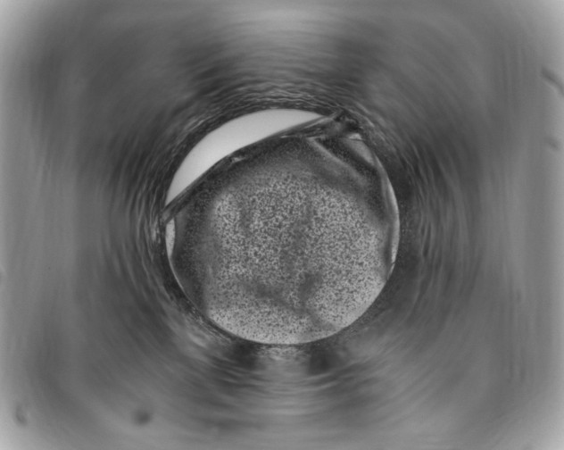 X0000096140137200802081357