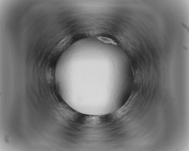 X0000096140140200802081357
