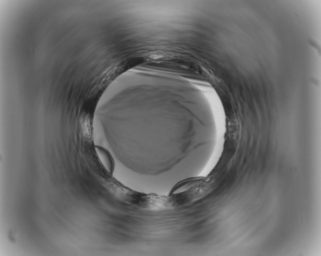 X0000096140143200802081357