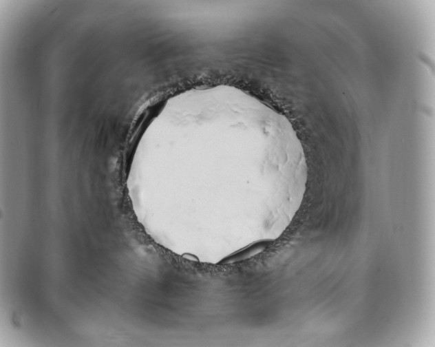 X0000096140144200802081357