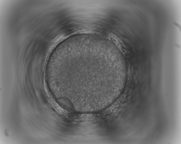 X0000096140145200802081356