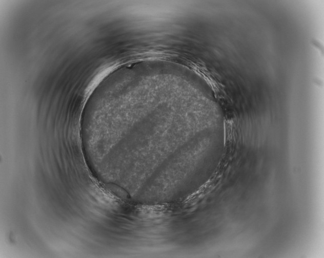 X0000096140147200802081356