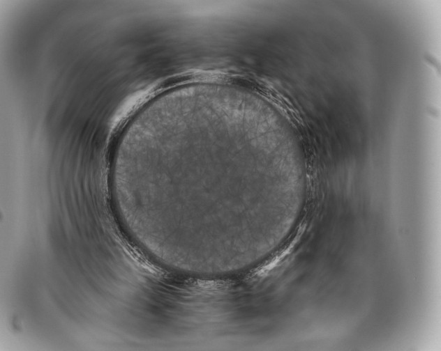 X0000096140149200802081356