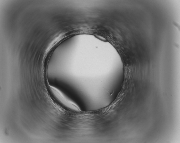 X0000096140150200802081356