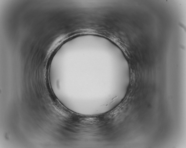 X0000096140151200802081356