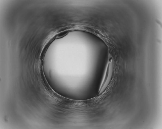 X0000096140152200802081356