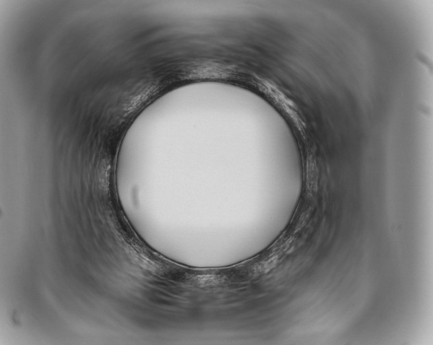 X0000096140153200802081356