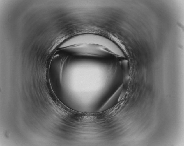 X0000096140154200802081356