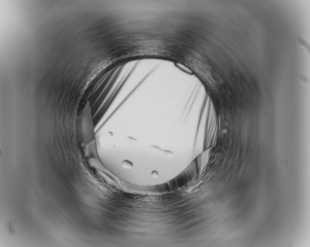 X0000096140156200802081356