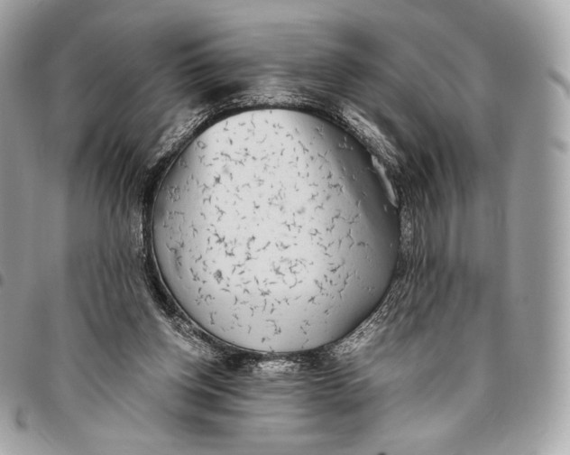 X0000096140158200802081356