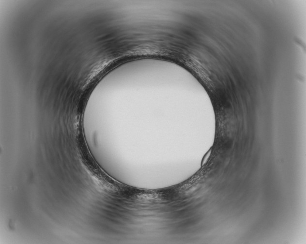 X0000096140160200802081356
